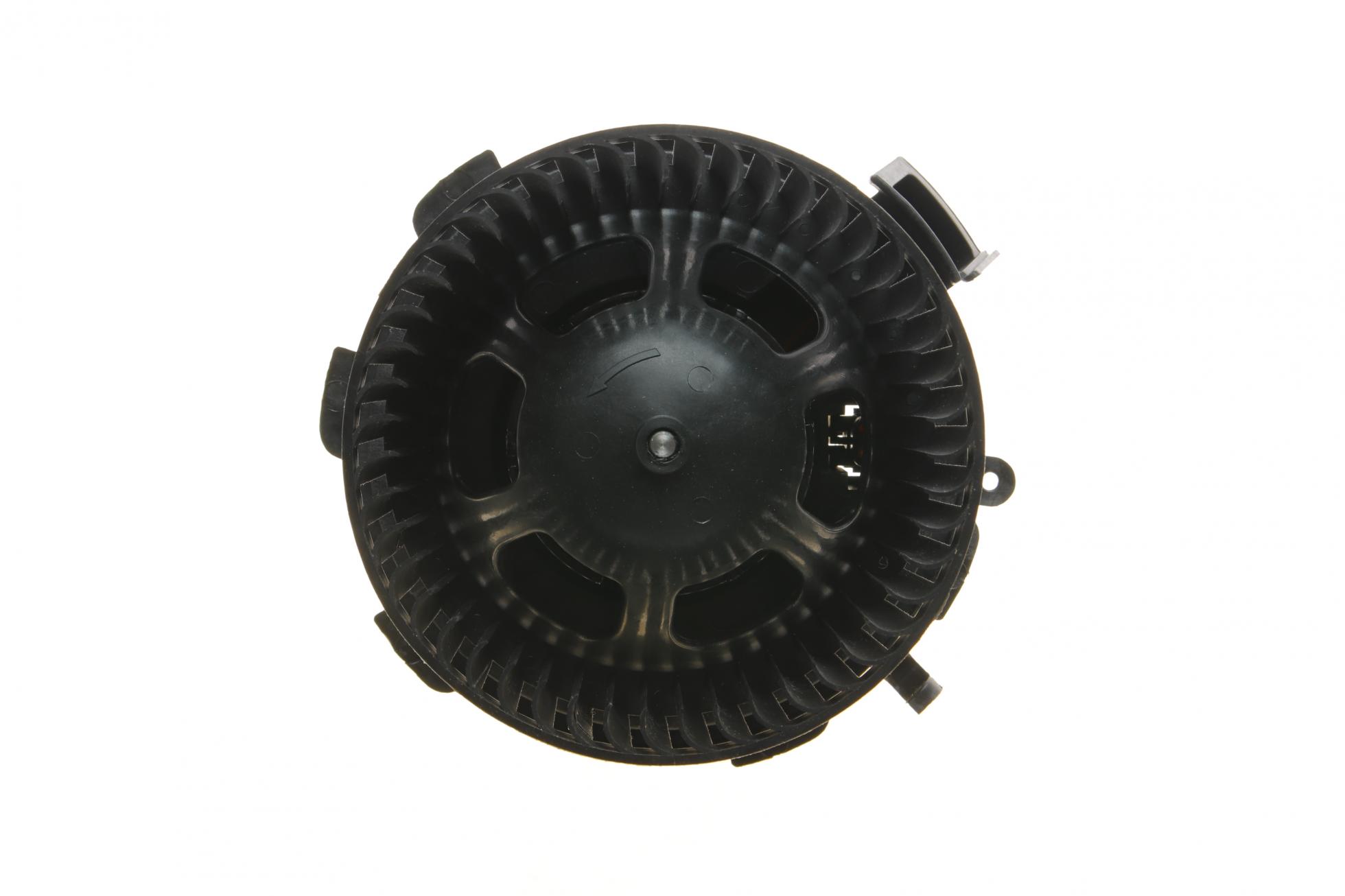 3077773 VAN WEZEL